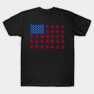 Cute Turtle American Flag Costume Gift T-Shirt